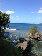 vegetation of the red beach on Saipan