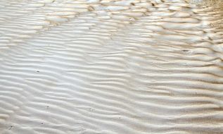 ripples texture sand shore brown