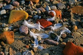 beach walk flotsam sea coast