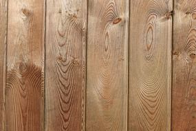 wood fence texture grain