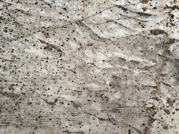 rock texture wall background stone
