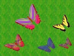 butterflies green background flying