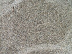 sand beach structure