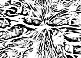 crazy pattern texture template