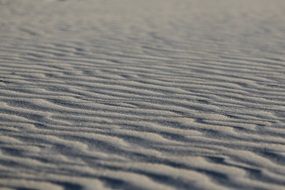 sand dune wind texture pattern