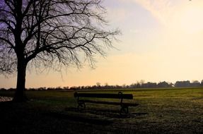 empty park bench in the morning