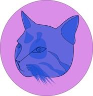 cat head face blue pink background