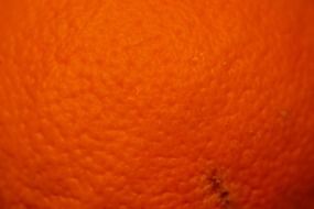 orange peel closeup