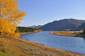background river forest recreation