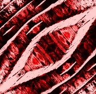 artistic fotofilter pattern red