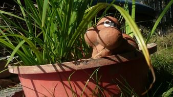 ceramics turtle grass season