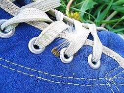 shoe blue shoelace chm C3 AD C5 99 C3 AD