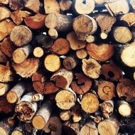 wood logs lumber texture pattern