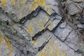 stone texture background moss