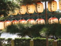 japan japanese lantern temple nara