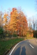 shadow play human autumn road