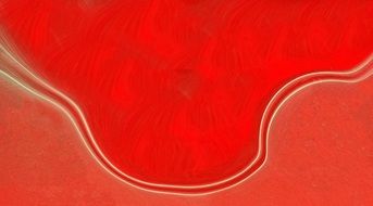 red banner rays