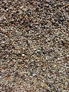 pebbles summer
