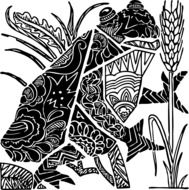 frog amphibian animals black