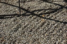 shadow on the pebbles