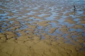 beach people background sand water