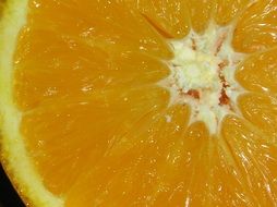 orange color background fruit