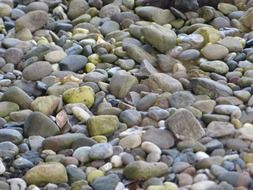 natural colored pebbles on the beach