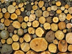 log logs pile stack wood wooden