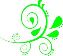 paisley floral green pattern