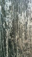 wood texture pattern wooden