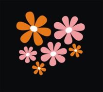 flowers black background blossoms