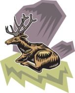 drawing of a sitting wild deer