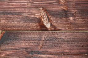 wood background grain texture