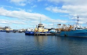 harbour marina fishing port sailing