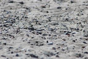 sand stones beach pebbles