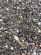 pebbles old pattern stone floor