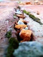 brick wall with green moss