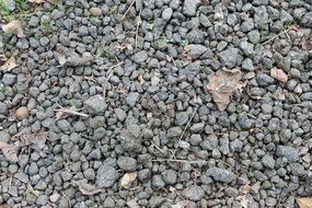 gravel pebbles soil texture