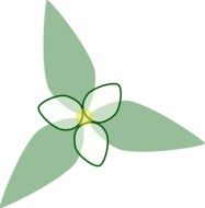 flower design floral pattern