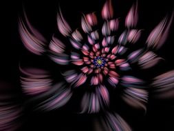 spiral flower fractal purple