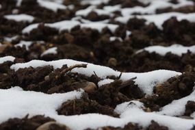 earth snow brown white new zealand