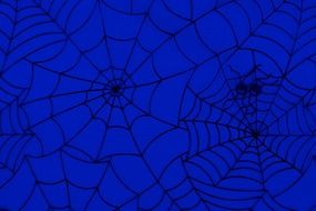 spiders spiderweb cobweb background