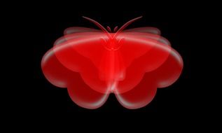 butterfly background heart wing