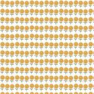 sunflower backdrop wrap