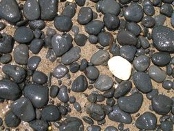 white pebble stone on the beach