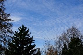 sky blue landscape outdoors twig