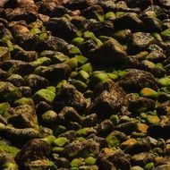 rocks beach coast nature shore