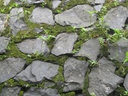 stones wall moss texture natural