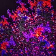 fractal orange purple curves on a black background