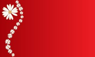 beautiful bloom on the red background